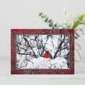 Kardinal Redbird Snow Foto Weihnachten Einladung (Stehend Vorderseite)