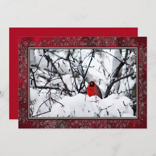 Kardinal Redbird Snow Foto Weihnachten Einladung (Vorne/Hinten)