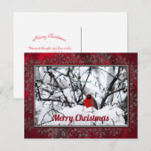 Kardinal Redbird Snow Foto Weihnachten Postkarte (Vorne/Hinten)