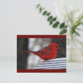 Kardinal Richelieu Postkarte (Stehend Vorderseite)