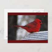 Kardinal Richelieu Postkarte (Vorne/Hinten)