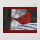 Kardinal Richelieu Postkarte (Vorderseite)