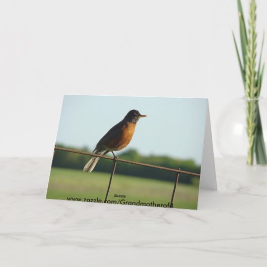 Kardinal/Robin, Joyful Song Karte (Rückseite)