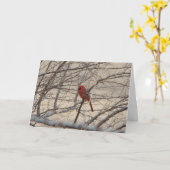 Kardinal/Robin, Joyful Song Karte (Gelbe Blume)