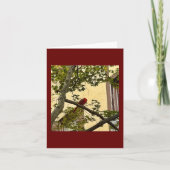 Kardinal rot karte (Vorderseite)