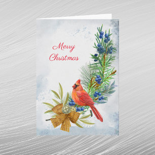 Kardinal Rot Wacholderbeeren Weihnachten