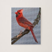 Kardinal - Roter Vogel - 8x10 - 110 Stk. Puzzle (Vertikal)