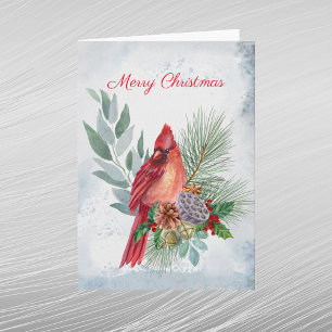 Kardinal Rotkiefer Grünzeug Weihnachten