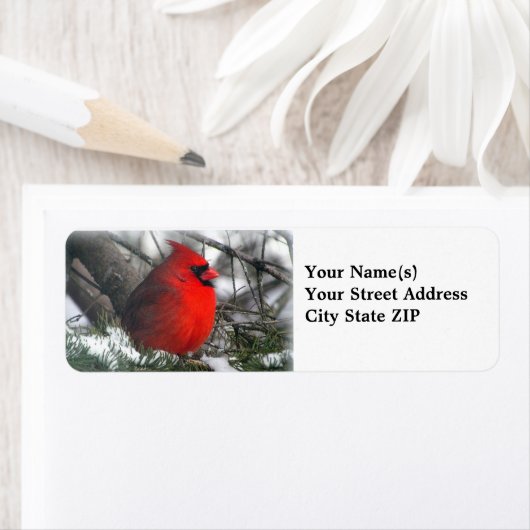 Kardinal-Rücksendeadresse (Insitu)