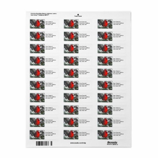 Kardinal-Rücksendeadresse (Vorne)