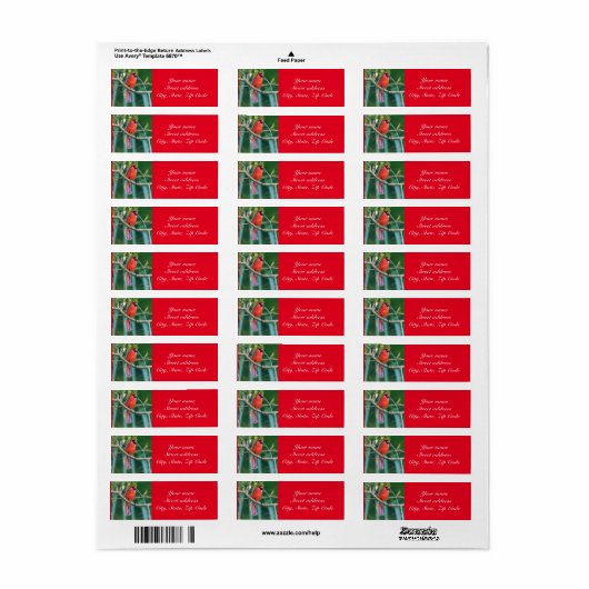 Kardinal-Rücksendeadresse-Etikett Persönlich anpas (Vorne)