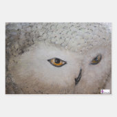 Kardinal, Schale und Papier für gemeinsame Lötstel (Vorderseite 2)