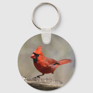 Kardinal Schlüsselanhänger