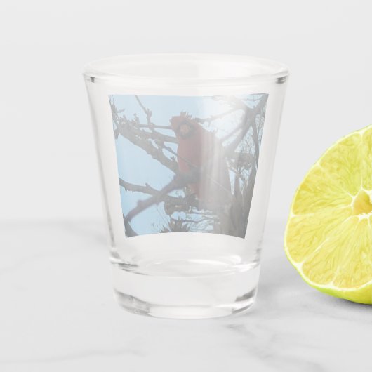 Kardinal Schnapsglas (Rückseite)