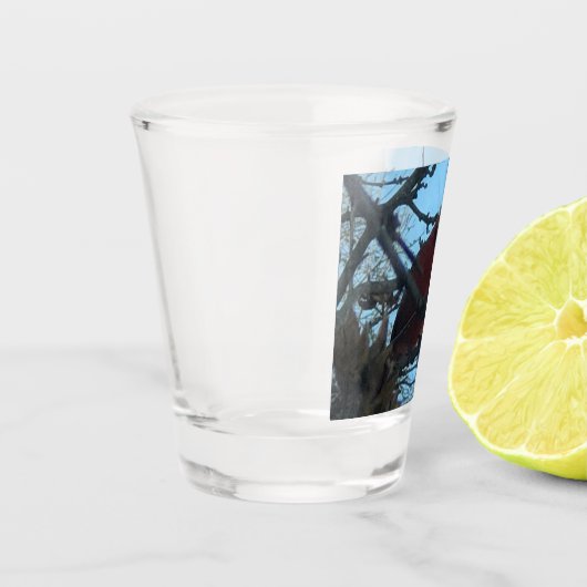 Kardinal Schnapsglas (Links)