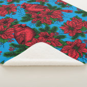 Kardinal Sherpadecke (3/4)