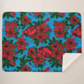 Kardinal Sherpadecke (Vorderseite (Horizontal))