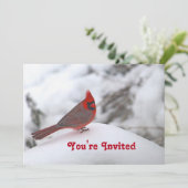 Kardinal Snow 6241 Geburtstag Einladung (Stehend Vorderseite)