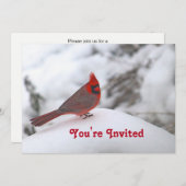Kardinal Snow 6241 Geburtstag Einladung (Vorne/Hinten)
