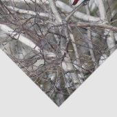 Kardinal Snow Birch Tree Foto Seidenpapier (Ausschnitt)