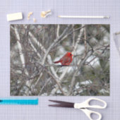 Kardinal Snow Birch Tree Foto Seidenpapier (Handwerk)