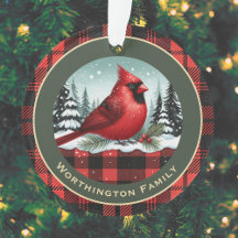 Kardinal Snow in Buffalo Kariert Familienname Mono