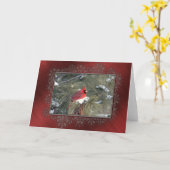 Kardinal Snow Pine Foto Karte (Gelbe Blume)