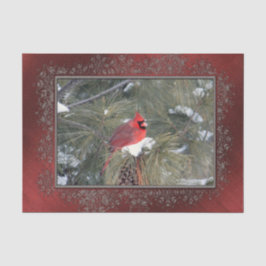 Kardinal Snow Pine Foto Seidenpapier