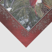 Kardinal Snow Pine Foto Seidenpapier (Ausschnitt)