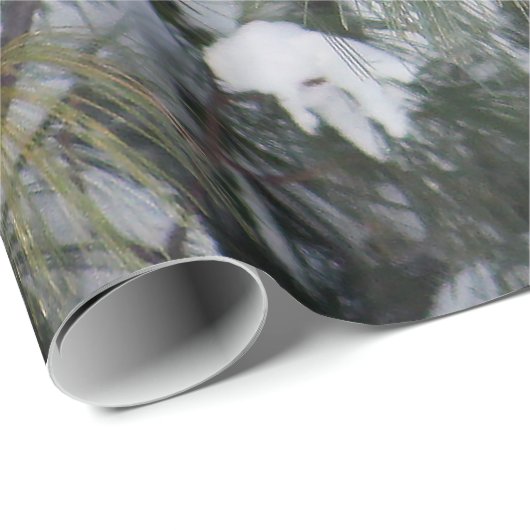 Kardinal Snow Pine Tree Foto Geschenkpapier (Rolleneckpunkt)