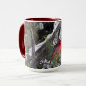 Kardinal Snow Pine Tree Foto Tasse (Vorderseite Links)