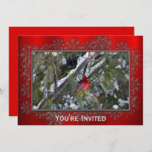 Kardinal Snow Pine Tree Foto Weihnachten