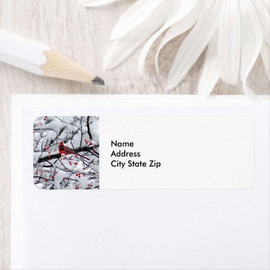 Kardinal Snow Tree Foto (Insitu)