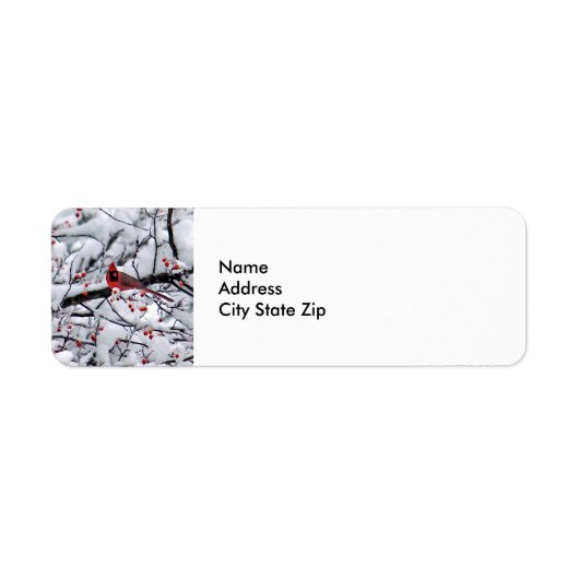 Kardinal Snow Tree Foto (Vorne)