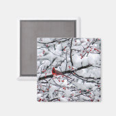 Kardinal Snow Tree Foto Magnet (Vorderseite/Rückseite)