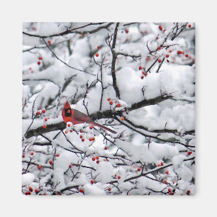 Kardinal Snow Tree Foto Magnet