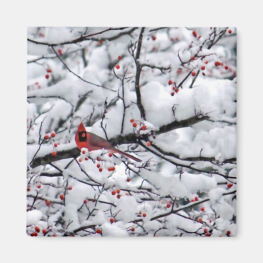 Kardinal Snow Tree Foto Magnet (Vorne)