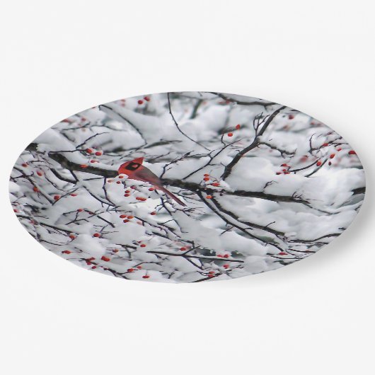 Kardinal Snow Tree Foto Pappteller (Schrägansicht)