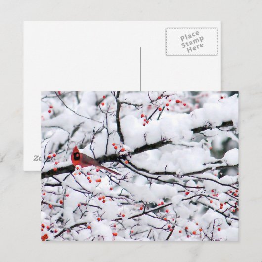 Kardinal Snow Tree Foto Postkarte (Vorne/Hinten)