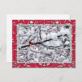 Kardinal Snow Tree Foto Weihnachten Postkarte (Vorne/Hinten)
