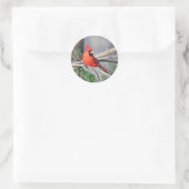 Kardinal Sommer Pose Runder Aufkleber (Tasche)