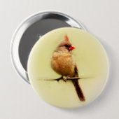 Kardinal Songbird Button (Vorne & Hinten)