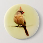 Kardinal Songbird Button (Vorderseite)