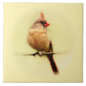 Kardinal Songbird Fliese (Vorderseite)