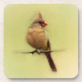 Kardinal Songbird Getränkeuntersetzer (Vorderseite)