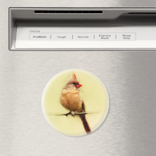 Kardinal Songbird Magnet (In Situ (Geschirrspüler))
