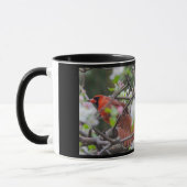 Kardinal Songbird Pair Tasse (Links)