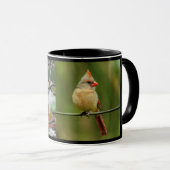 Kardinal Songbird Pair Tasse (VorderseiteRechts)