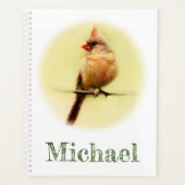 Kardinal Songbird Planer (Vorderseite)