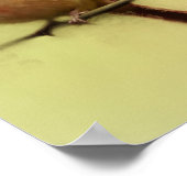 Kardinal Songbird Poster (Ecke)